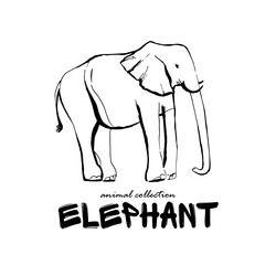 Similar image 21023597