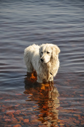 Similar image 21023971