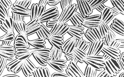 Similar image 21023847