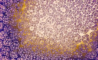 Similar image 21023987