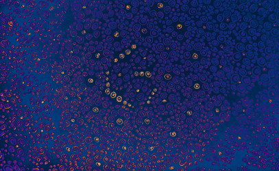 Similar image 21023988