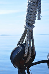 Similar image 21023611