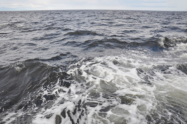 Similar image 21023730