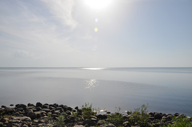 Similar image 21023851