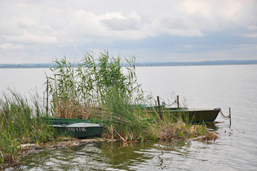 Similar image 21023859