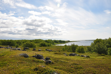 Similar image 21023522