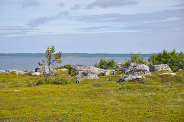 Similar image 21023616