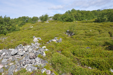 Similar image 21023617