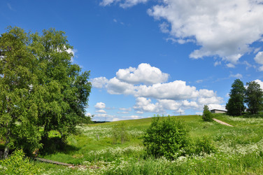 Similar image 21023624