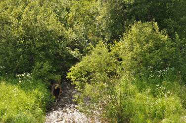 Similar image 21023741