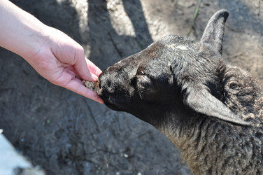 Similar image 21025143