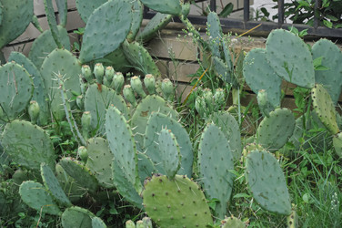 Similar image 21023876