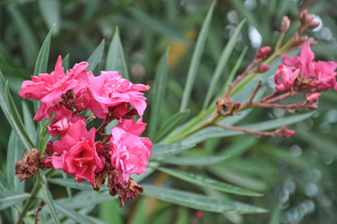 Similar image 21023877