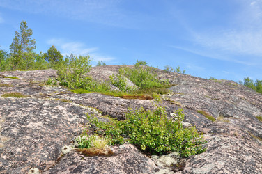 Similar image 21025324