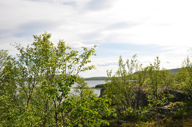 Similar image 21025333