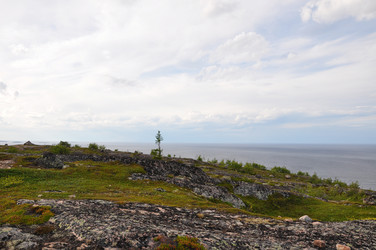 Similar image 21024645