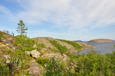 Similar image 21025105