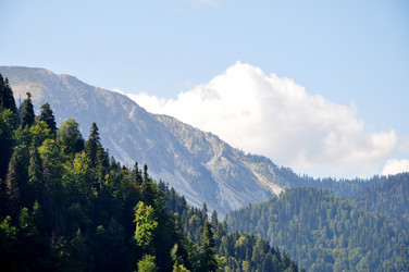 Similar image 21024650