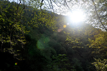 Similar image 21024224