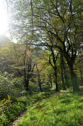 Similar image 21024225