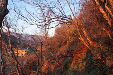 Similar image 21024236