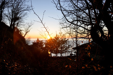 Similar image 21024237