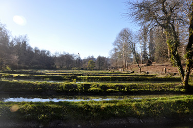 Similar image 21024238