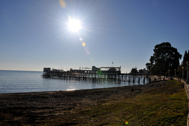 Similar image 21024240