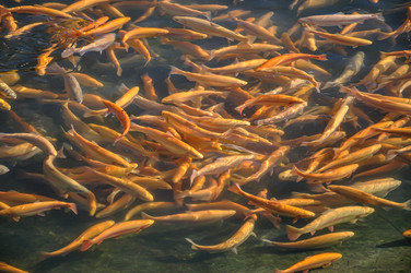 Similar image 21024364