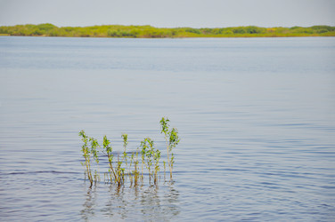 Similar image 21024366