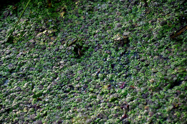 Similar image 21024781