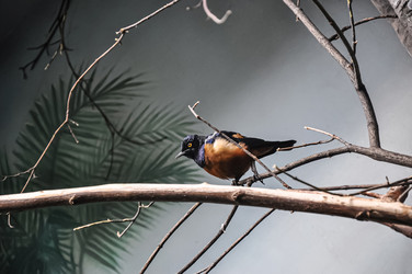 Similar image 21024782