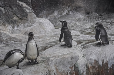 Similar image 21022061