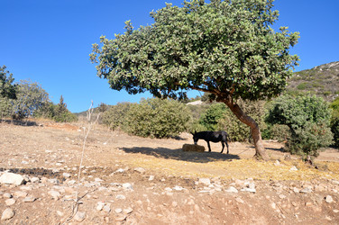 Similar image 21023647