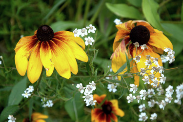 Similar image 21024665