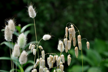 Similar image 21024666