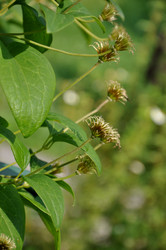 Similar image 21024668