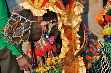 Similar image 21024675