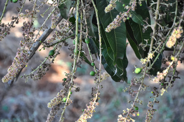 Similar image 21024794