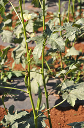 Similar image 21024797