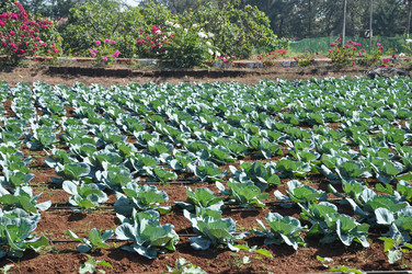 Similar image 21024801