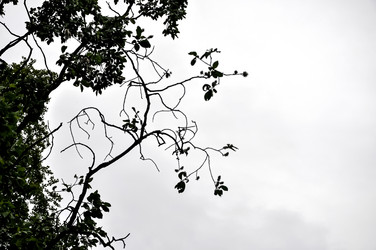 Similar image 21022062