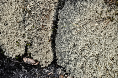 Similar image 21022063