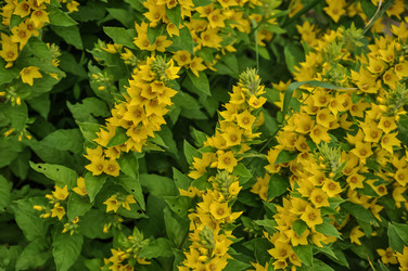 Similar image 21022083