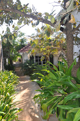 Similar image 21023529