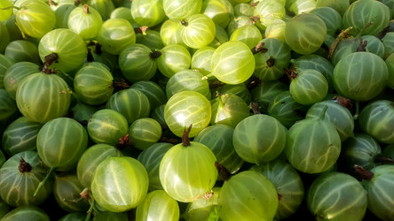 Similar image 21023758