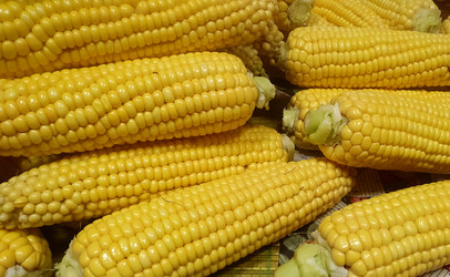 Similar image 21023761