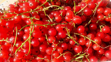 Similar image 21023883