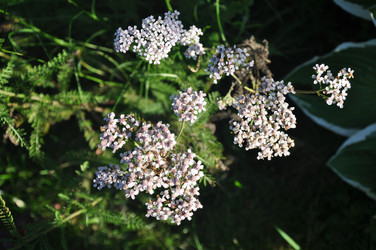 Similar image 21023886