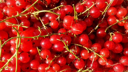 Similar image 21023887